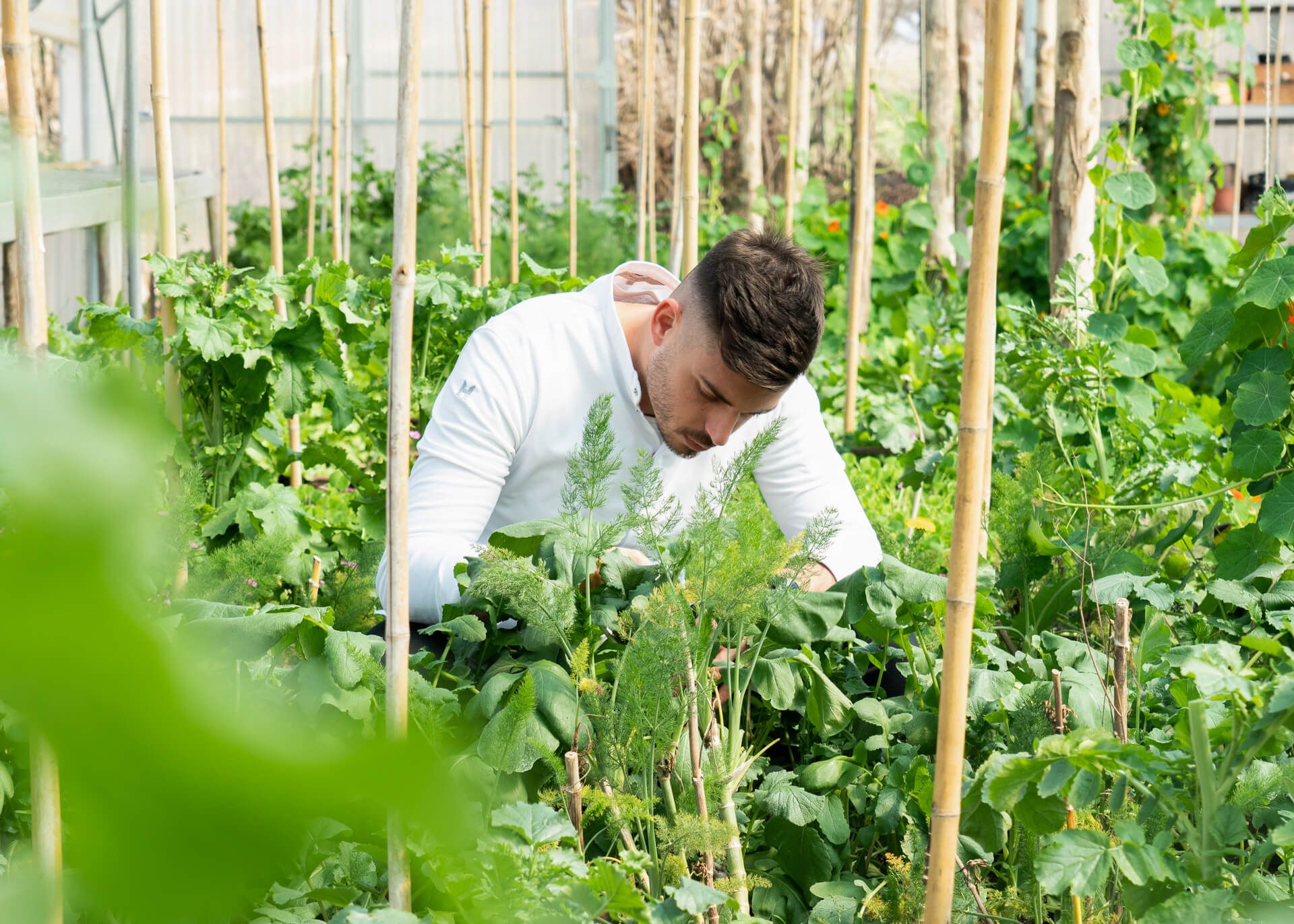 Borgo Santo Pietro Saporium Chiusdino Menu