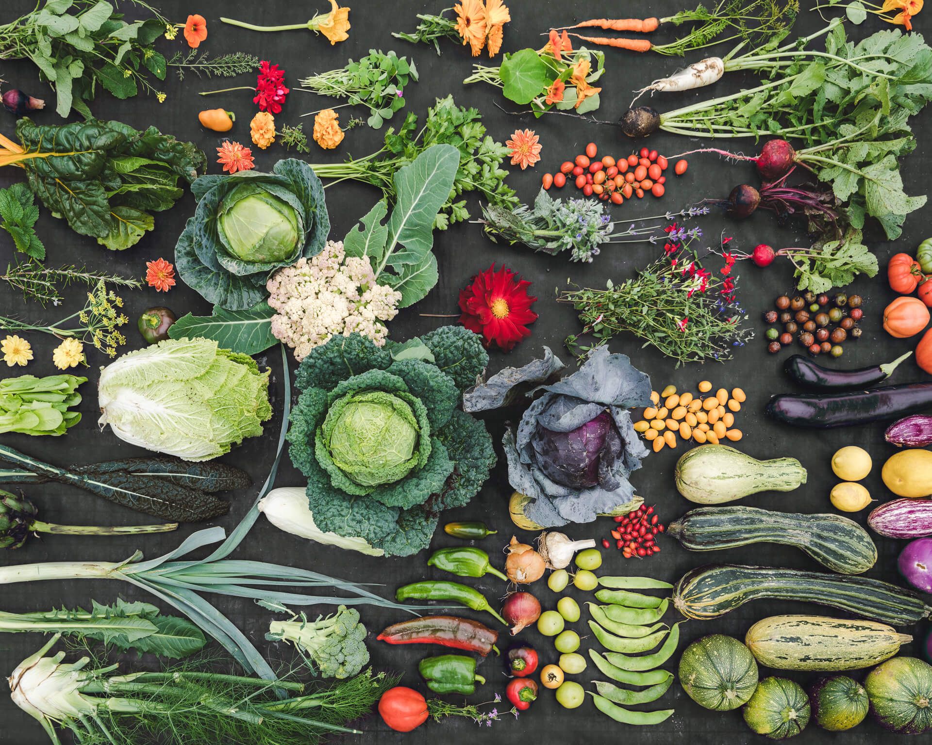 Borgo Santo Pietro Saporium Soil to Plate