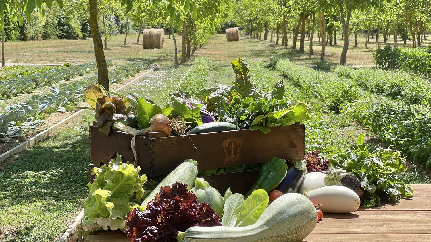 Borgo Santo Pietro Saporium Farm