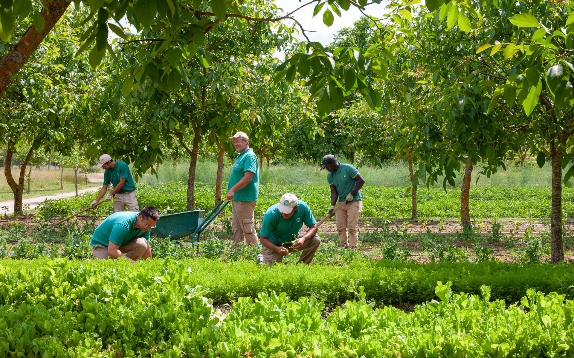 Borgo Santo Pietro Farm