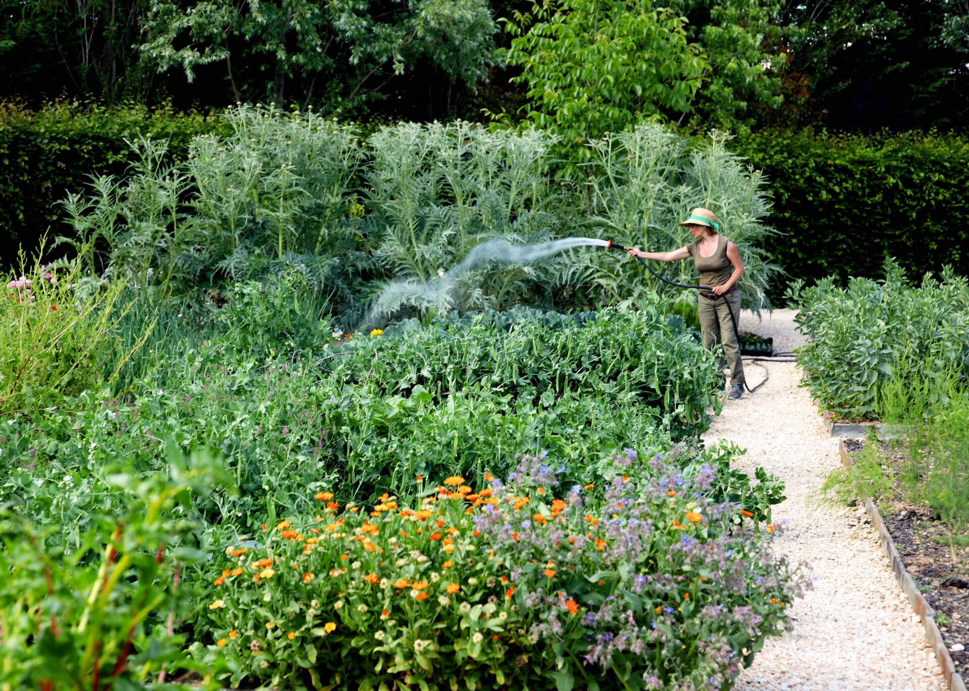 Borgo Santo Pietro Saporium Soil to Plate
