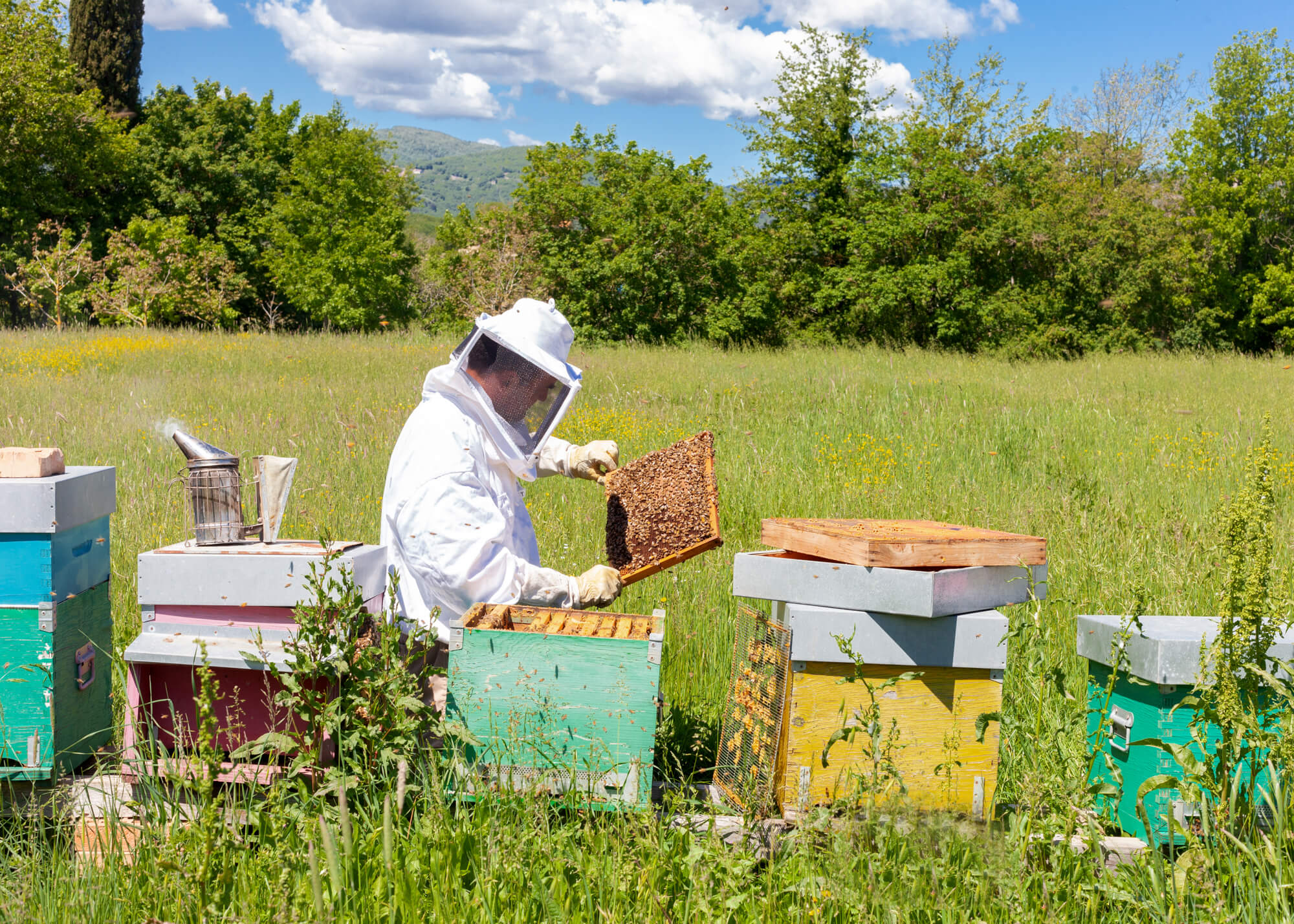 Borgo Santo Pietro Farm